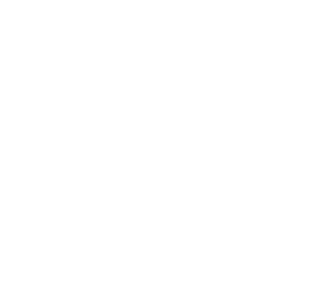 Volvo 300 Club